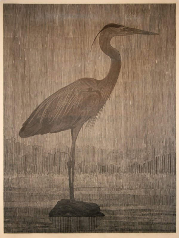 Bird 1 by Richard Ryan
