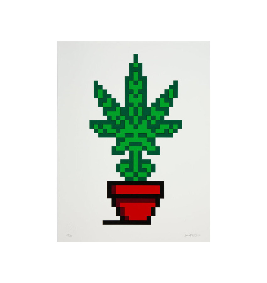 Hollyweed (Red Edition) by Invader
