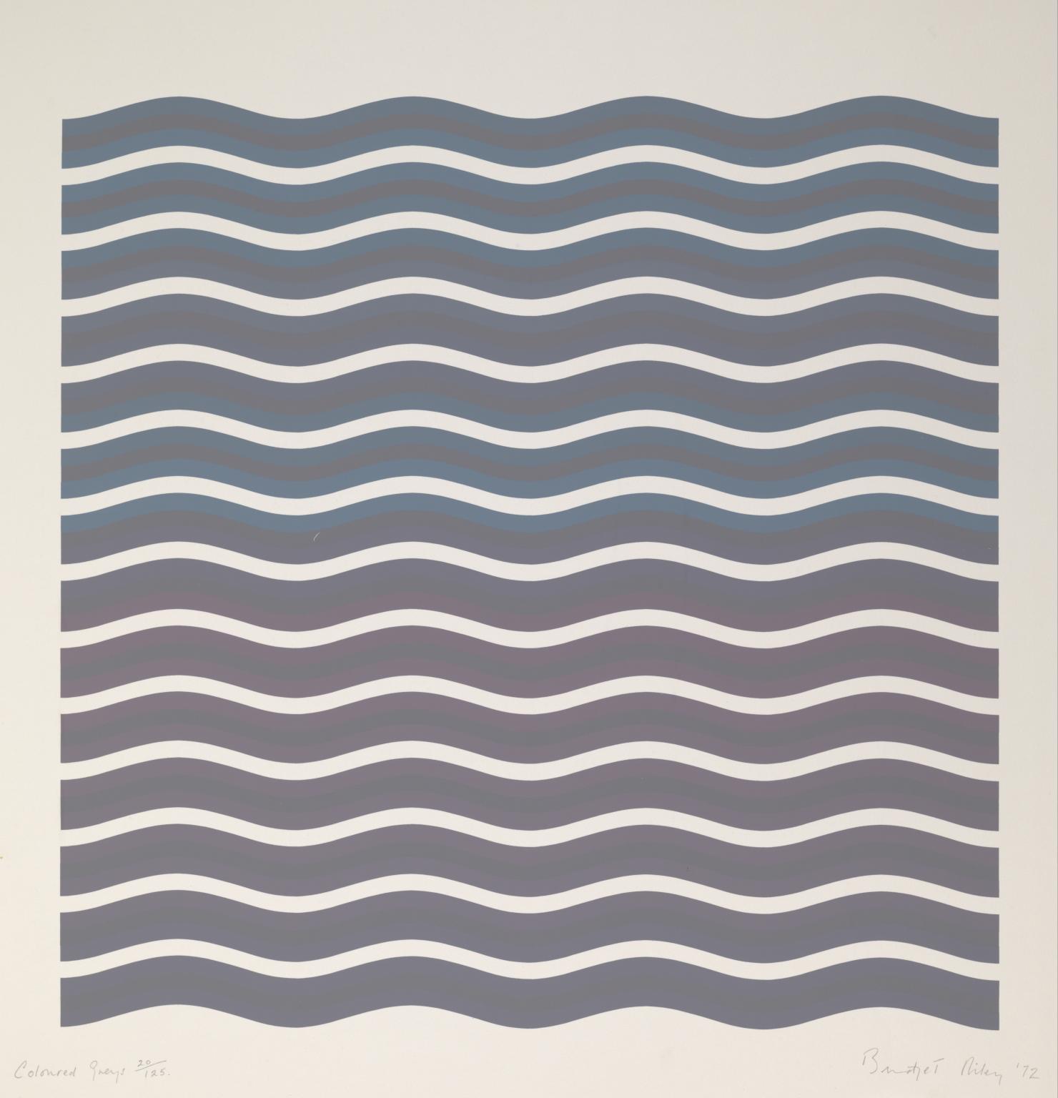 Coloured Greys II by Bridget Riley
